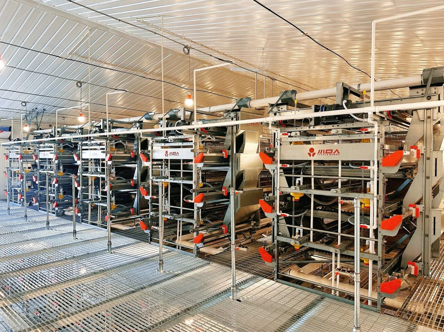 Установлено оборудование для содержания птиц!Маленький Гигант руководит строительством современного яруса для содержания 2 миллионов птиц.