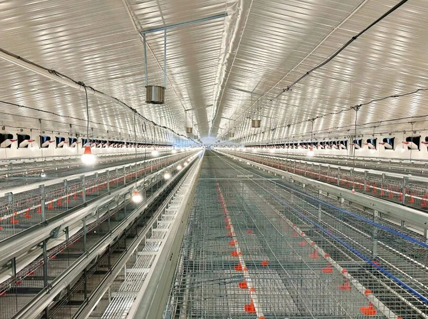 Установлено оборудование для содержания птиц!Маленький Гигант руководит строительством современного яруса для содержания 2 миллионов птиц.