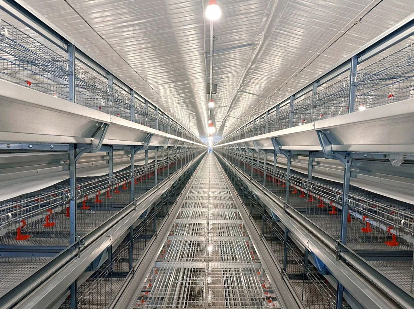 Установлено оборудование для содержания птиц!Маленький Гигант руководит строительством современного яруса для содержания 2 миллионов птиц.